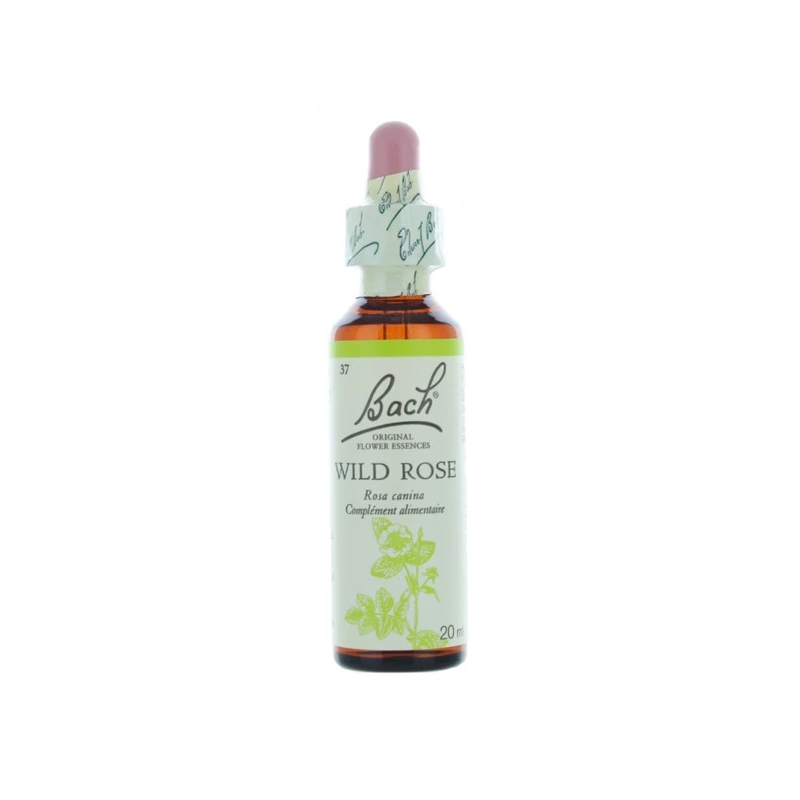 Fleurs de Bach Original 37 Wild Rose (Églantier) - 20ml