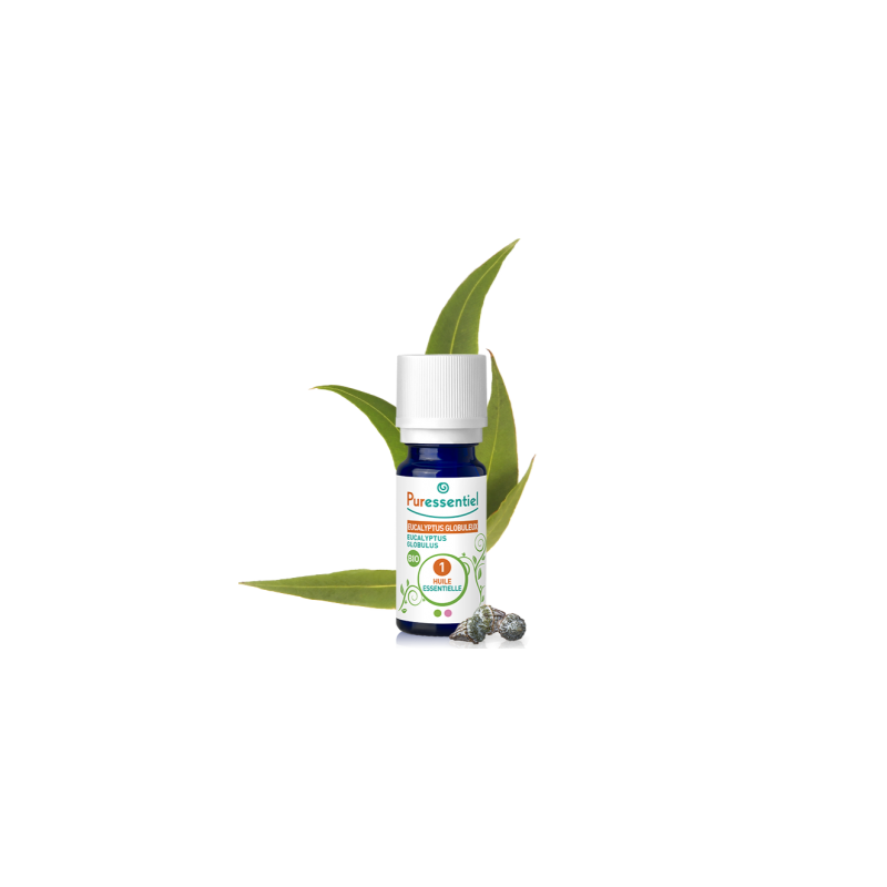 Huile Essentielle Eucalyptus Globuleux Bio - 10ml