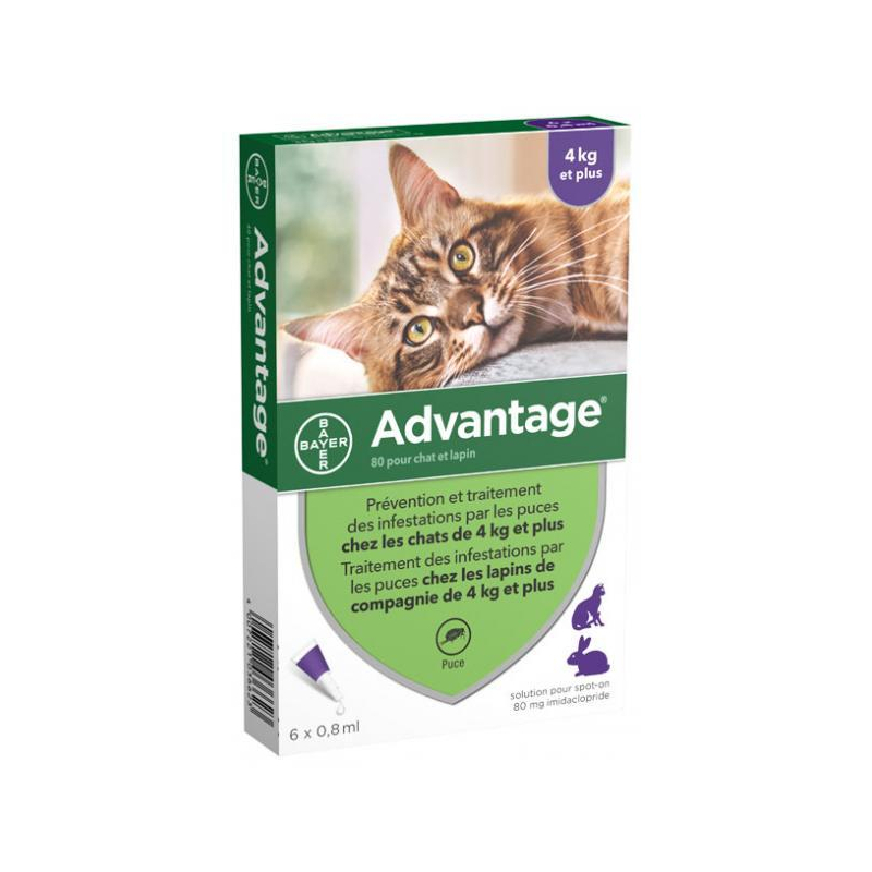 Bayer Advantage 80 Solution Antipuce Pour Chat et Lapin de 4kg et Plus  - 6 Pipettes