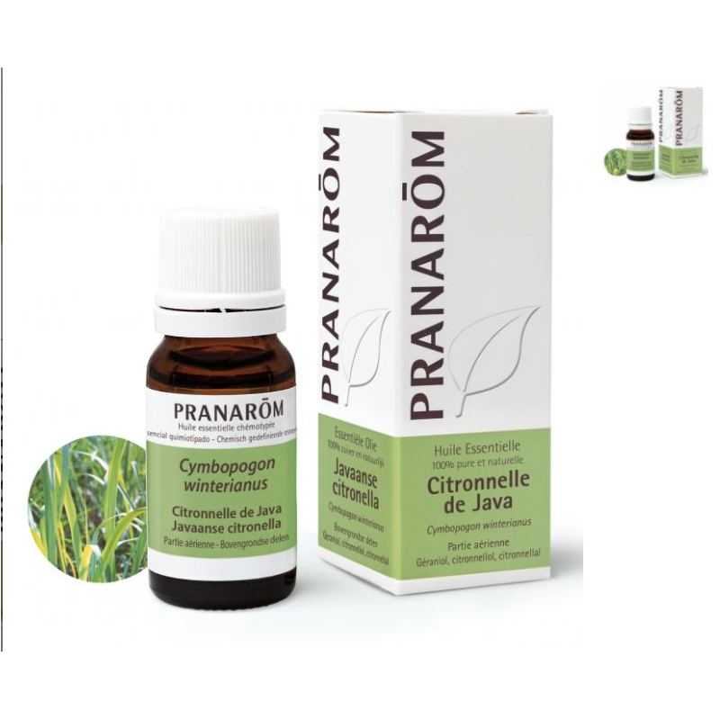 Pranarom Huile essentielle Citronnelle de Java - 10ml