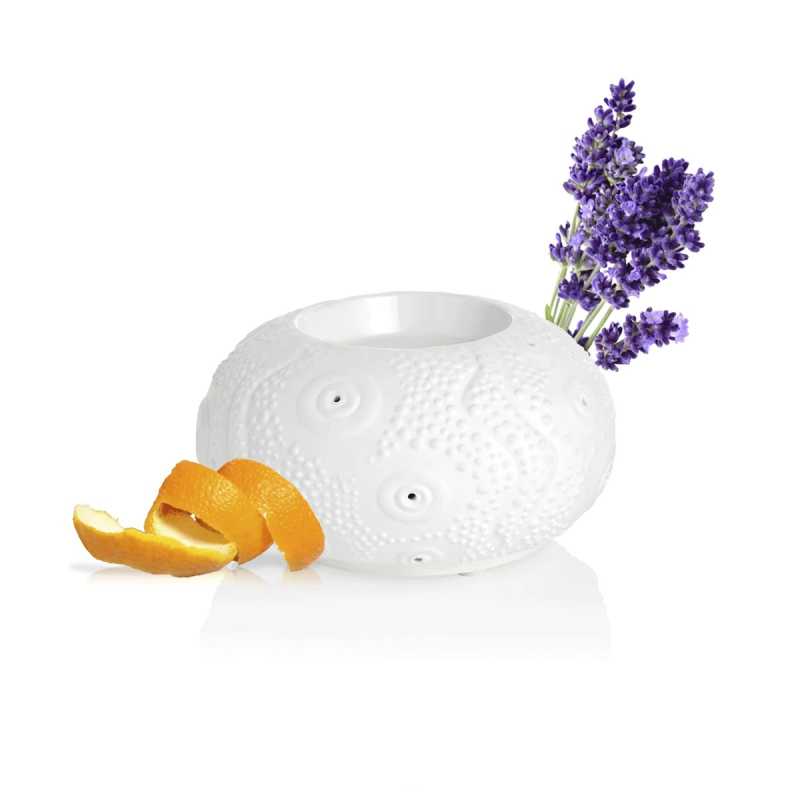 Puressentiel Calvi Diffuseur à Chaleur Douce