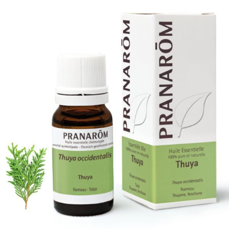 Pranarôm Huile Essentielle Thym Vulgaire à Linalol (Thymus vulgaris CT linalol) - 5 ml